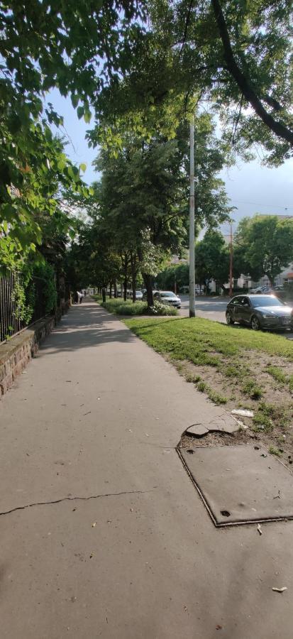 Dorothy Apartment Near Budapest City Park Экстерьер фото